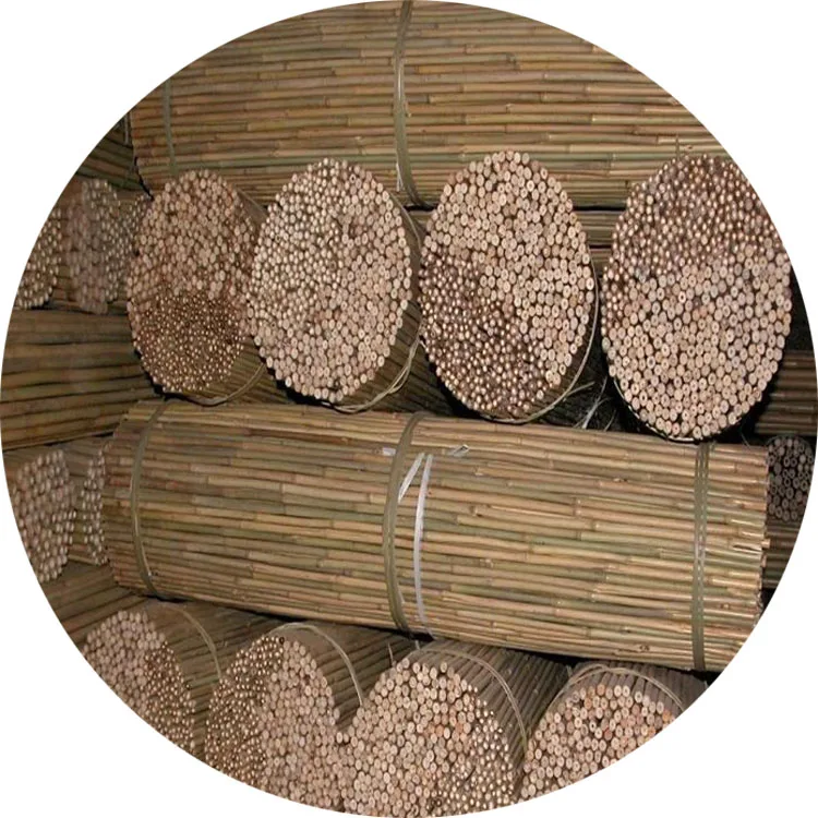 Tonkin  bamboo cane    moso bamboo Anti-mildew and insect-proof treatment