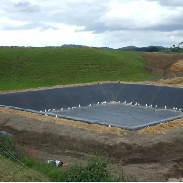 Hdpe Geomembrane PVC TPO Recycled Ldpe Sheet Sealer Rigid Shrimp Hdpe Pond Liner