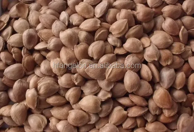 China top quality Angelon almond color sorter machine/ almond separation machine /colour sorter for almond