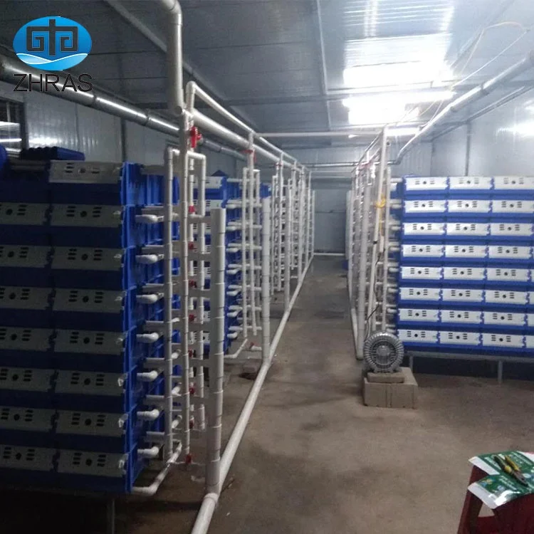 Factory aquaculture mud crab plastic boxes for fish farm Wholesale price indoor ras live crab farming boxes crab house