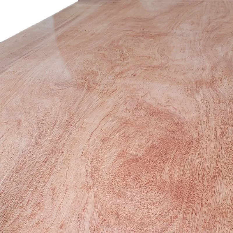 plywood manufacturer 16mm Bintangor Okoume Commercial plywood hardwood