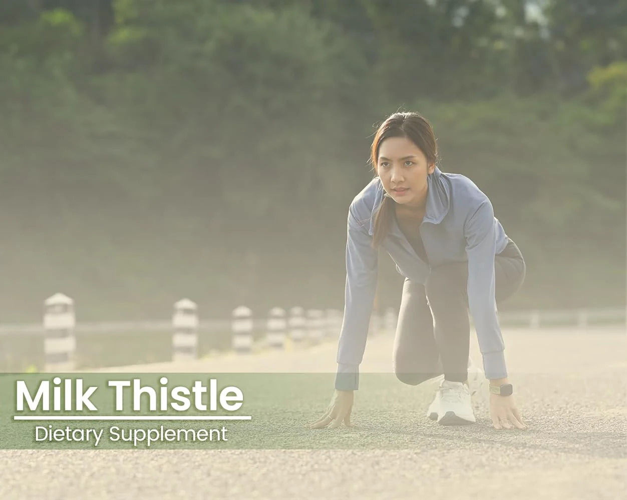 Hot Selling Milk Thistle Seed Extract Powder Milk Thistle Extract for Adult Vegan Milk Thistle Capsules