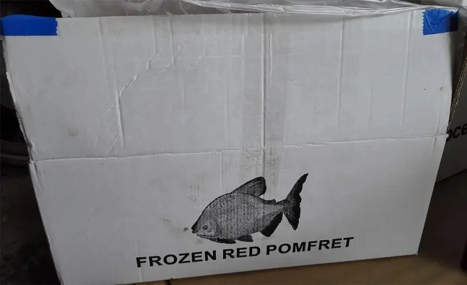 Frozen Fish Suppliers Fresh Frozen High Quality Good Wholesale Price Red Pomfret IQF Red Pacu Fish on Sale
