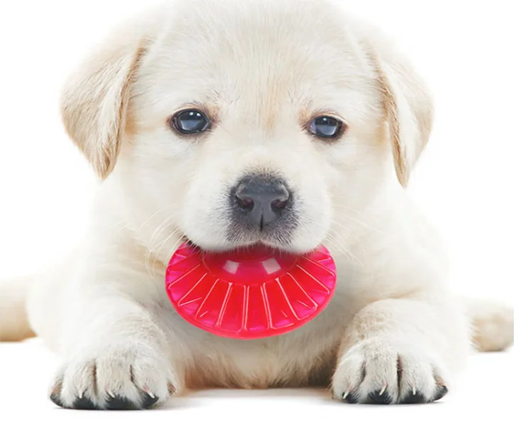  Custom Logo Pet Food Dispensing Dog Toy Flying Discs
