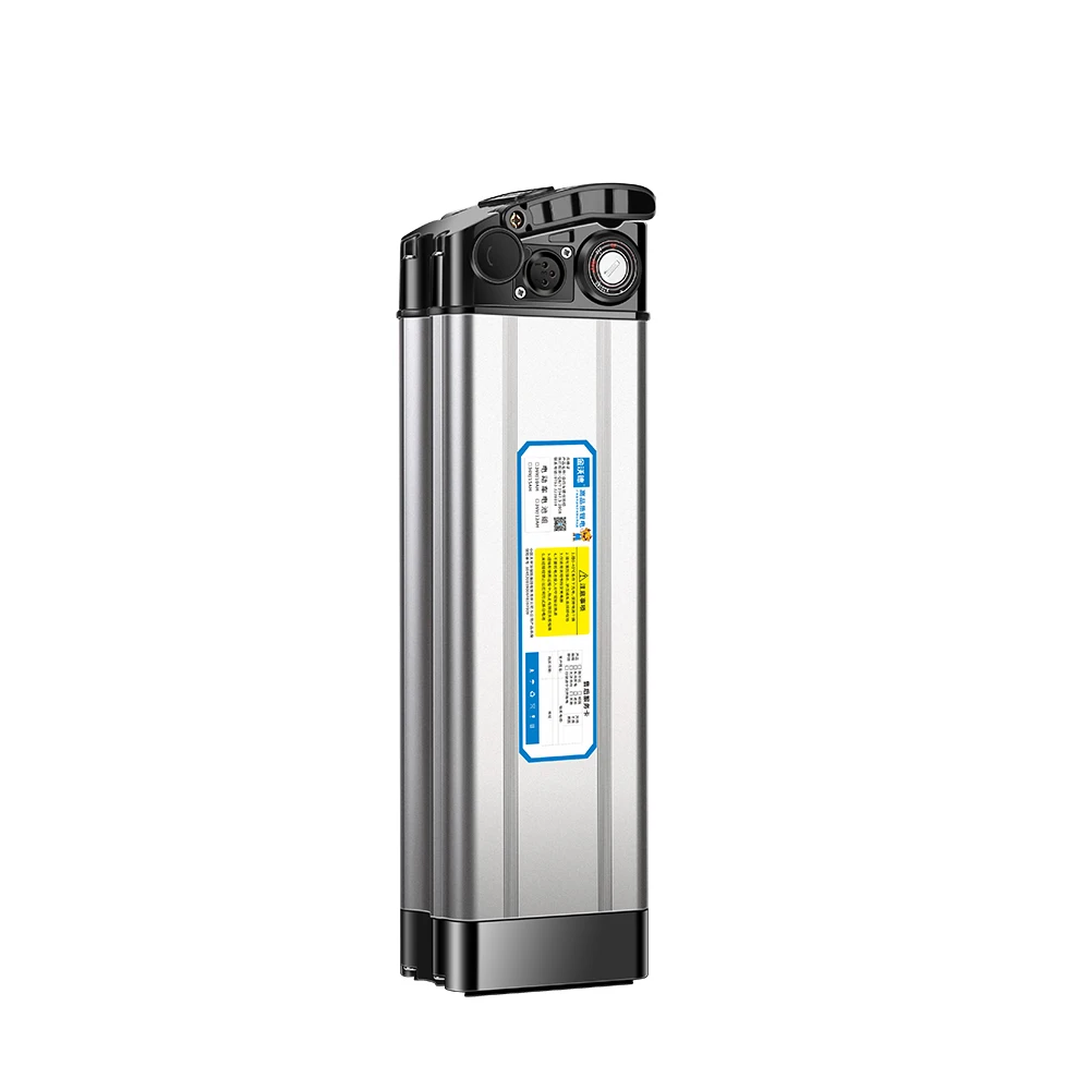
Customizable 24v 36v 48v Silver Fish Bike Electric Bicycle Lithium Battery 