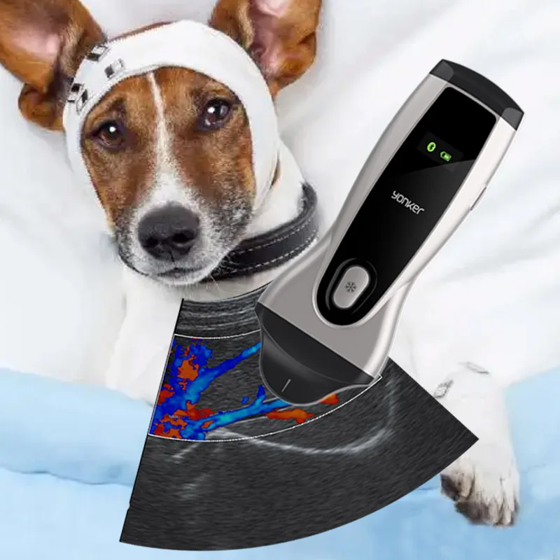 USB wireless wifi mini handheld for pet animal use probe equipment monitor vet veterinary ultrasound scanner machine