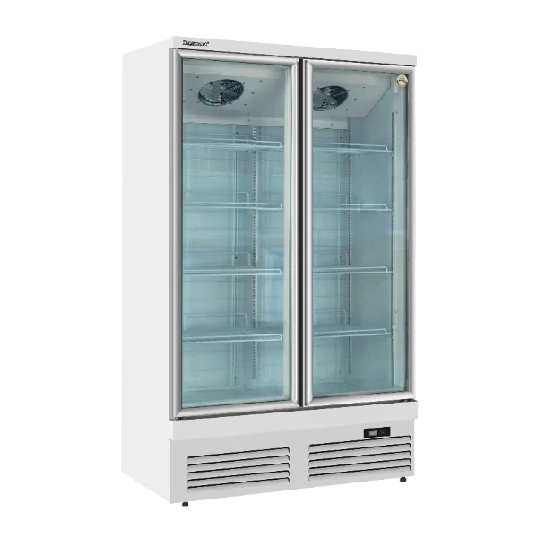 Beverage display cooler 2 glass doors refrigeration equipment no frost wholesale stores  OEM/ODM LC-1000FX  XUECUN/Snow Village