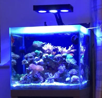 Touch Dimmable A30 Aqua Knight LED Aquarium Lights for LPS SPS Nemo