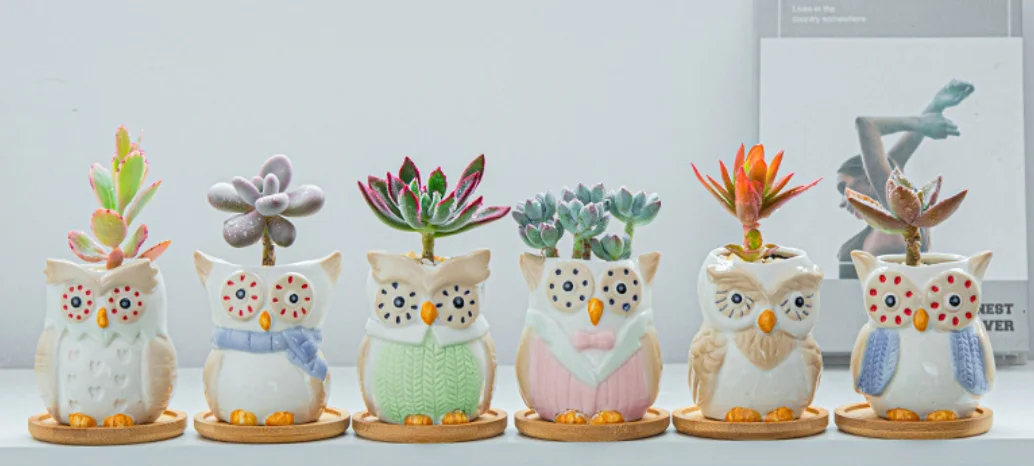 Factory Direct Sales Ceramic Mini Owl Succulent Pots Cute Animal Small Plant Planters Cactus Plants Container Bonsai Pots