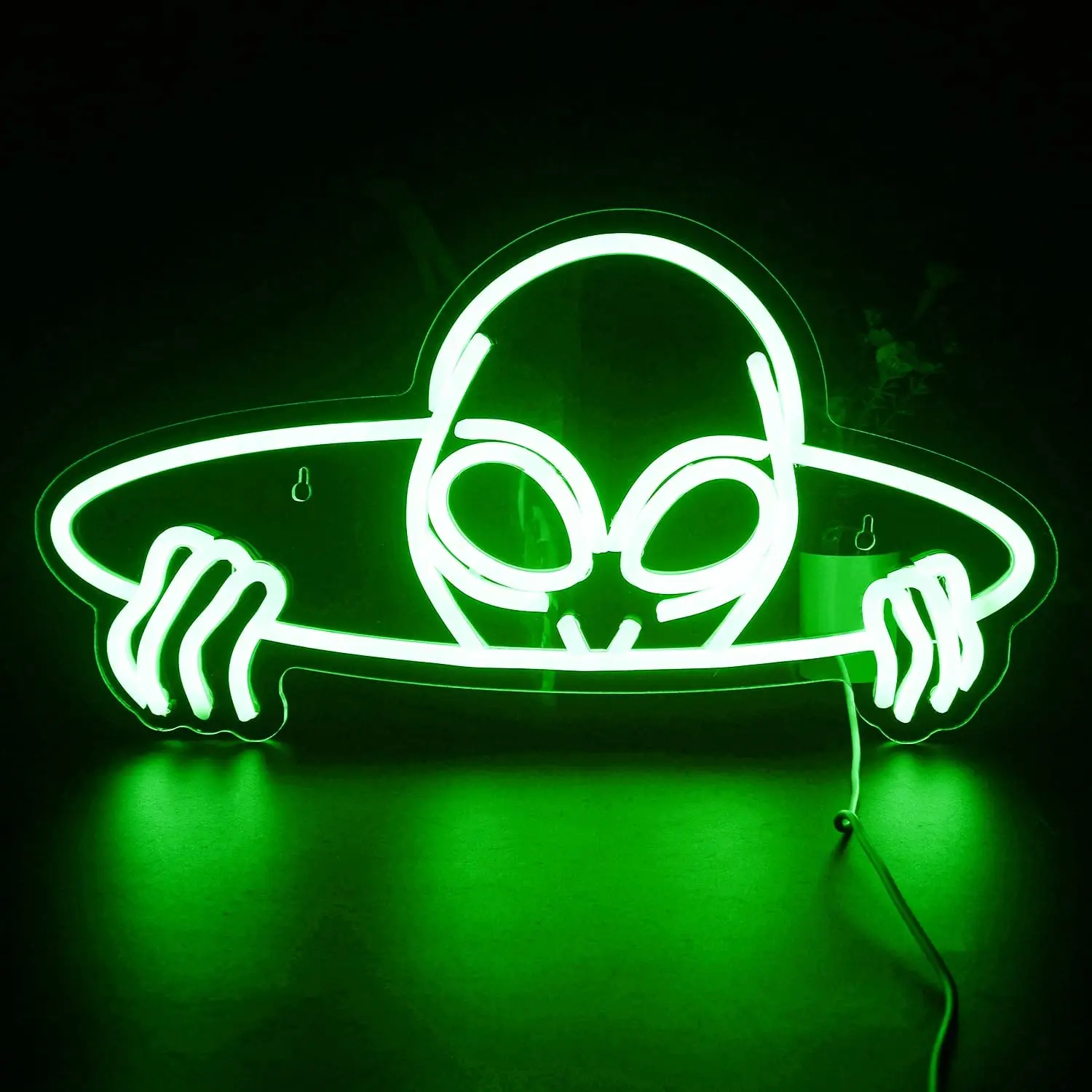 LED Neon Sign Interior Decor Room decor Wall Custom For Home and morty sign bedroom Led neon