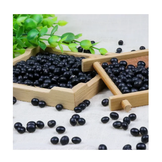2021 New Crop Black Turtle Bean Black Matpe Bean
