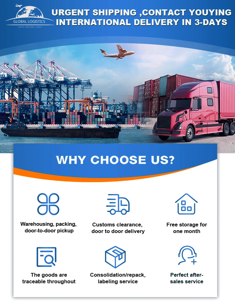 China Shenzhen to Netherlands global international and speedy service DDP door to door delivery sea freight logistic companies