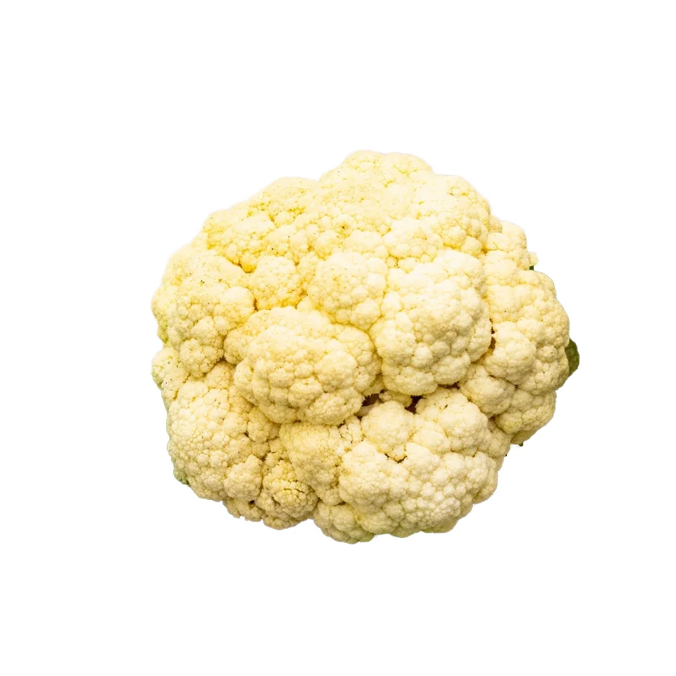 Seasonal popular frozen Vegetables High Quality IQF frozen Cauliflower