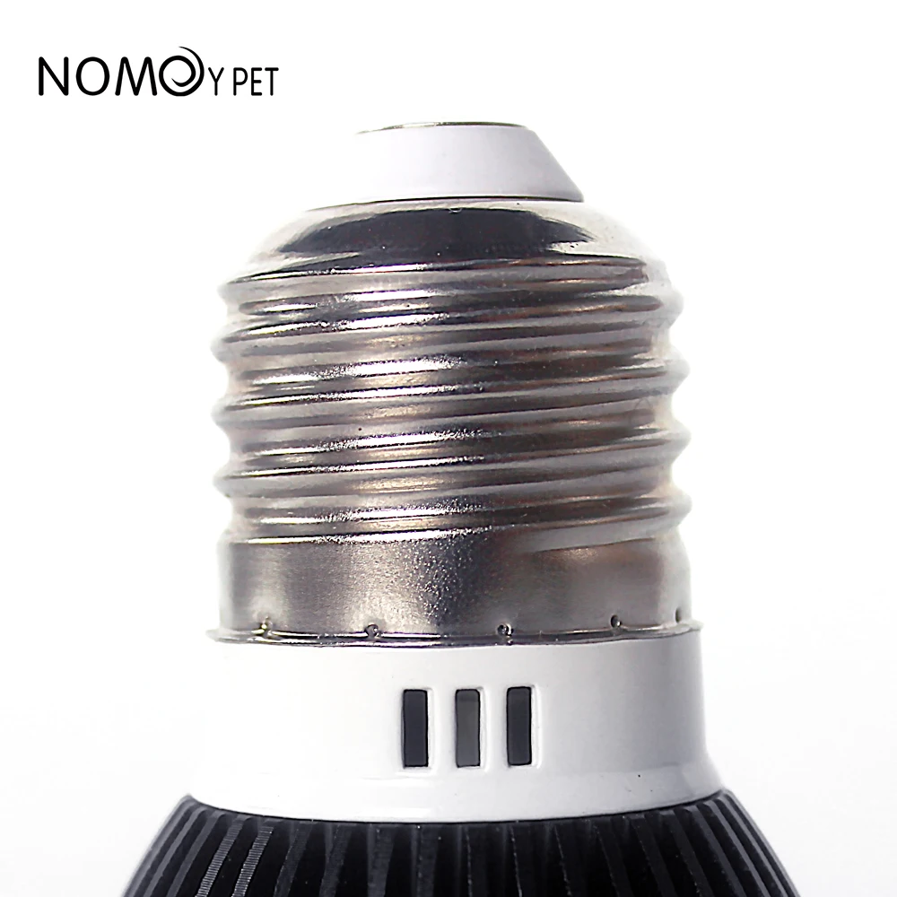 Pet LED calcium 3W basking UVA + UVB LED Reptile Light Turtle Basking Platform Full Spectrum Lamp Sunbathe Heat Lamp for Lizard