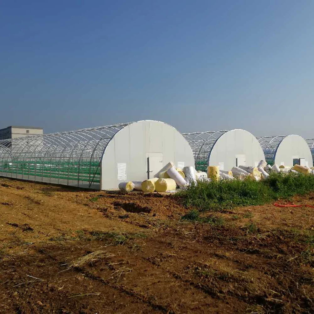 Agricultural mushroom greenhouse mushroom grow house crystal mushroom house