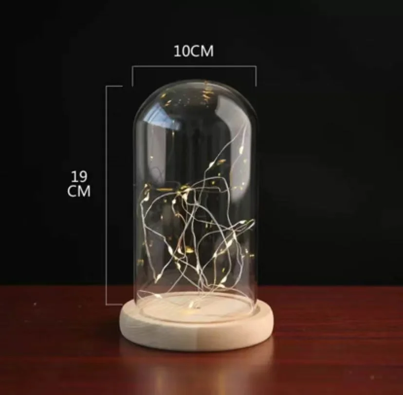 Dried flower glass cover base with light display box string light dust glass dome hand-made hand model luminous glass cover