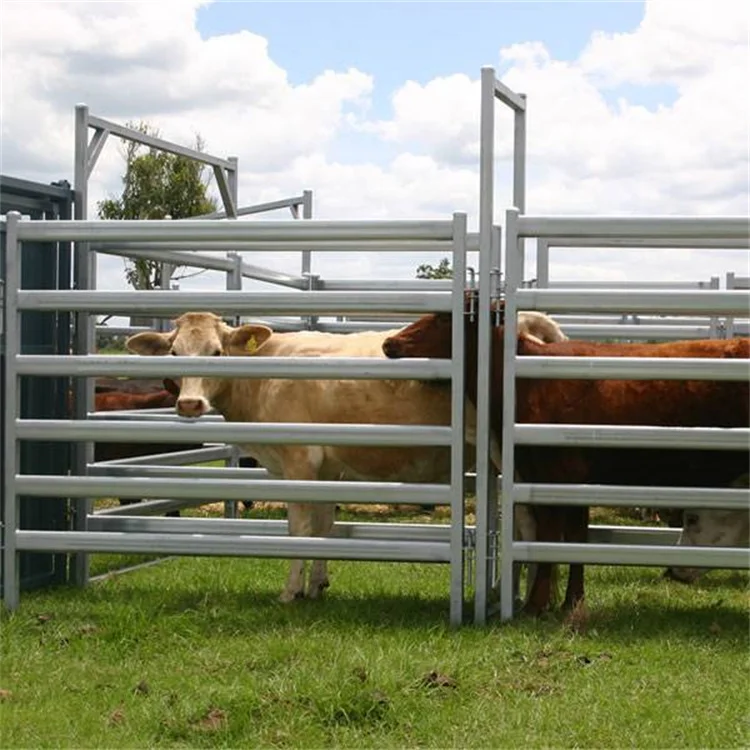 Heavy Duty Galvanized Cattle Yard Panel/ Livestock Panel/Corral Pen