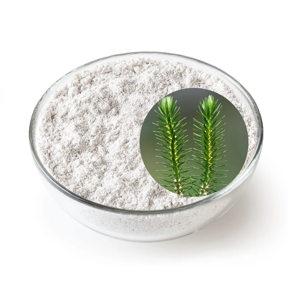 Durlevel supply Huperzia Serrate Extract with fast shipping Huperzine A1%--99% powder for sale