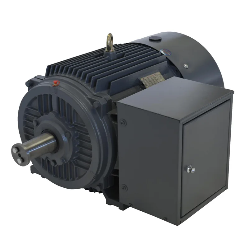 10KW~75KW 3 Phase Electric Induction Motor
