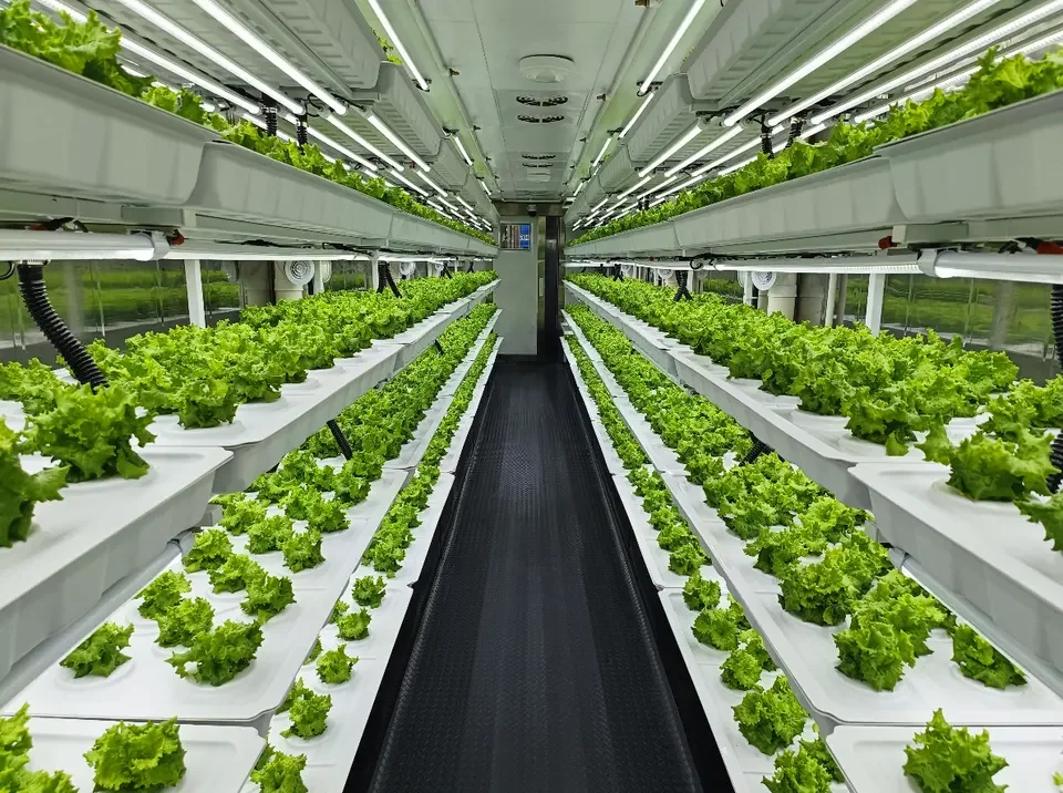 Pro-Leaf Fully automated turnkey system microgreen/strawberry/herb/lettuce/Medicinal materials/mushroom/canna container farm