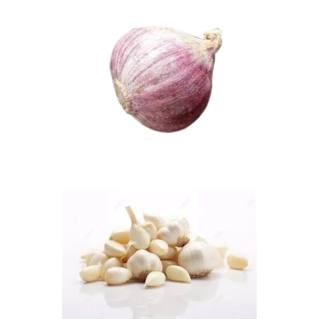 Hot Item Garlic Used As A Seasoning For Dishes 100% Dried Garlic Organic Packed In Box Vietnamese Manufacturer