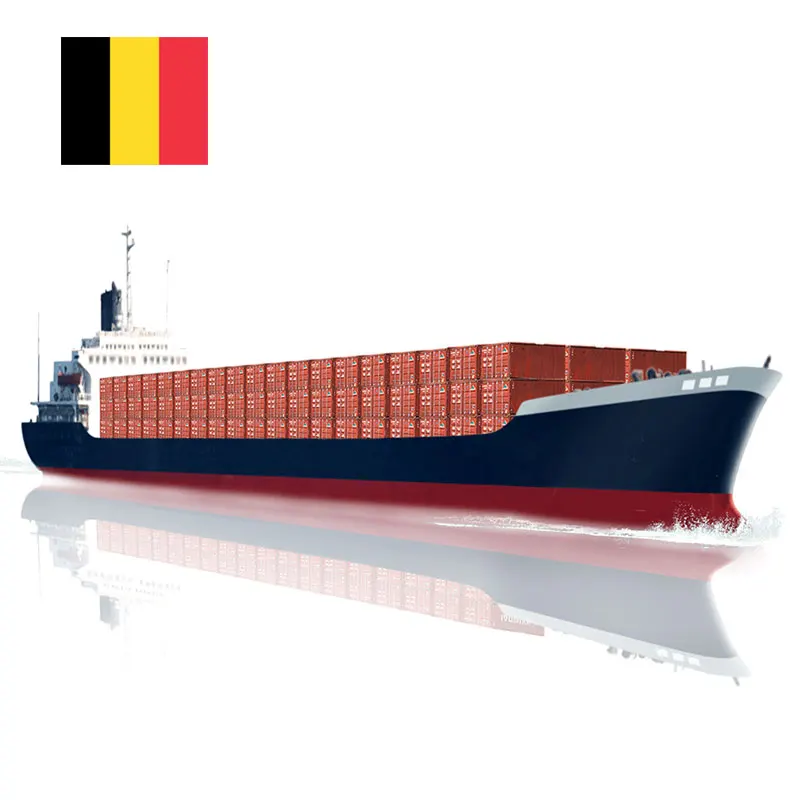 Shipping Container Transportation of Large Goods from China to Belgium