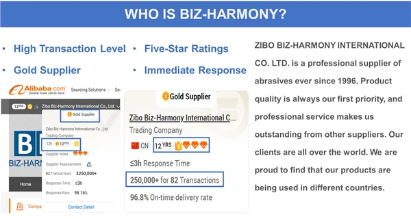 Sandpaper Disc for Glass 2 3 Inch 77mm Mini Black Marble Silicon Carbide Sanding Discs Kit for Concrete