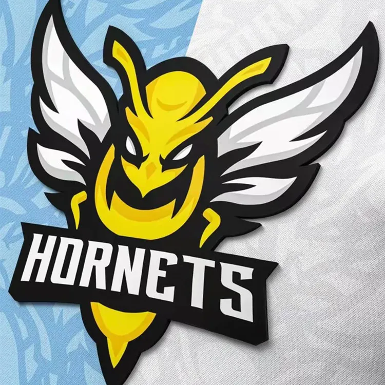 Customized 3D Soft Silicone Logo Heat Transfer Clothing Printing