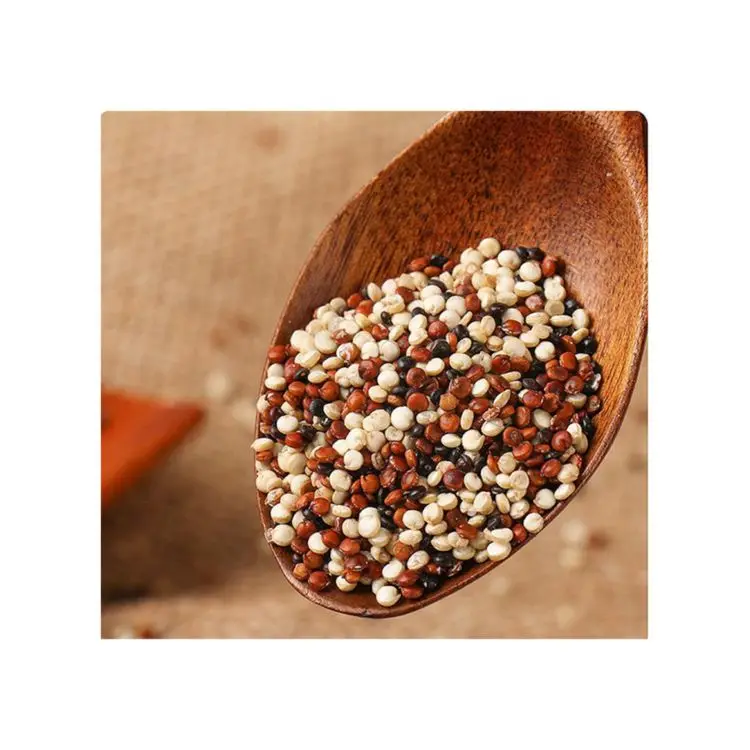 Горячая продажа низкая цена оптом тщательно отобранные органические трехцветные зернистые киноа