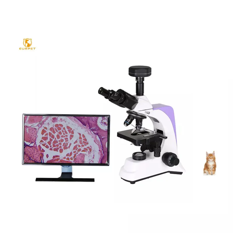 EURPET Sperm Microscope Wholesale Stage Warmer Sperm Test Microscope Veterinary Analyzer Microscope
