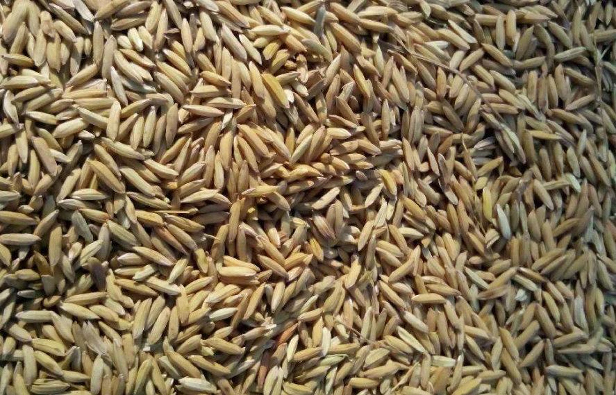 High Efficient Sawdust Flash Drier Dryer Rice Fish Drying Oven for Sale