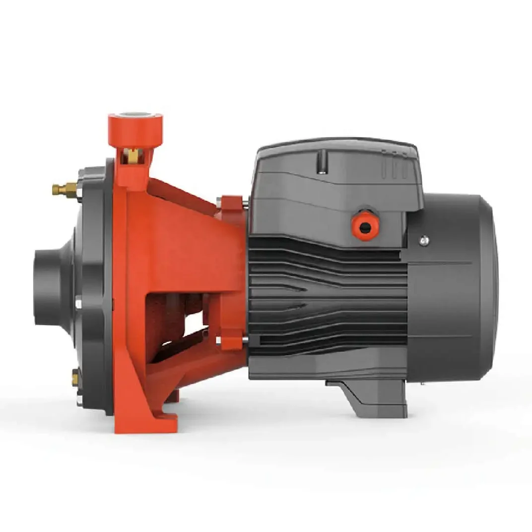 LEO 2ACm(H) Series Cast Iron Multistage Centrifugal Water Pump 0.75kw 1.1kw 1.5kw 2.2kw 3kw 4kw