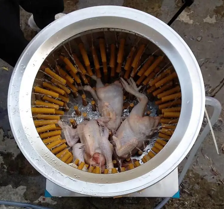 
P50 50L High efficiency poultry plucker machine for chicken , goose, duck plucking machine 
