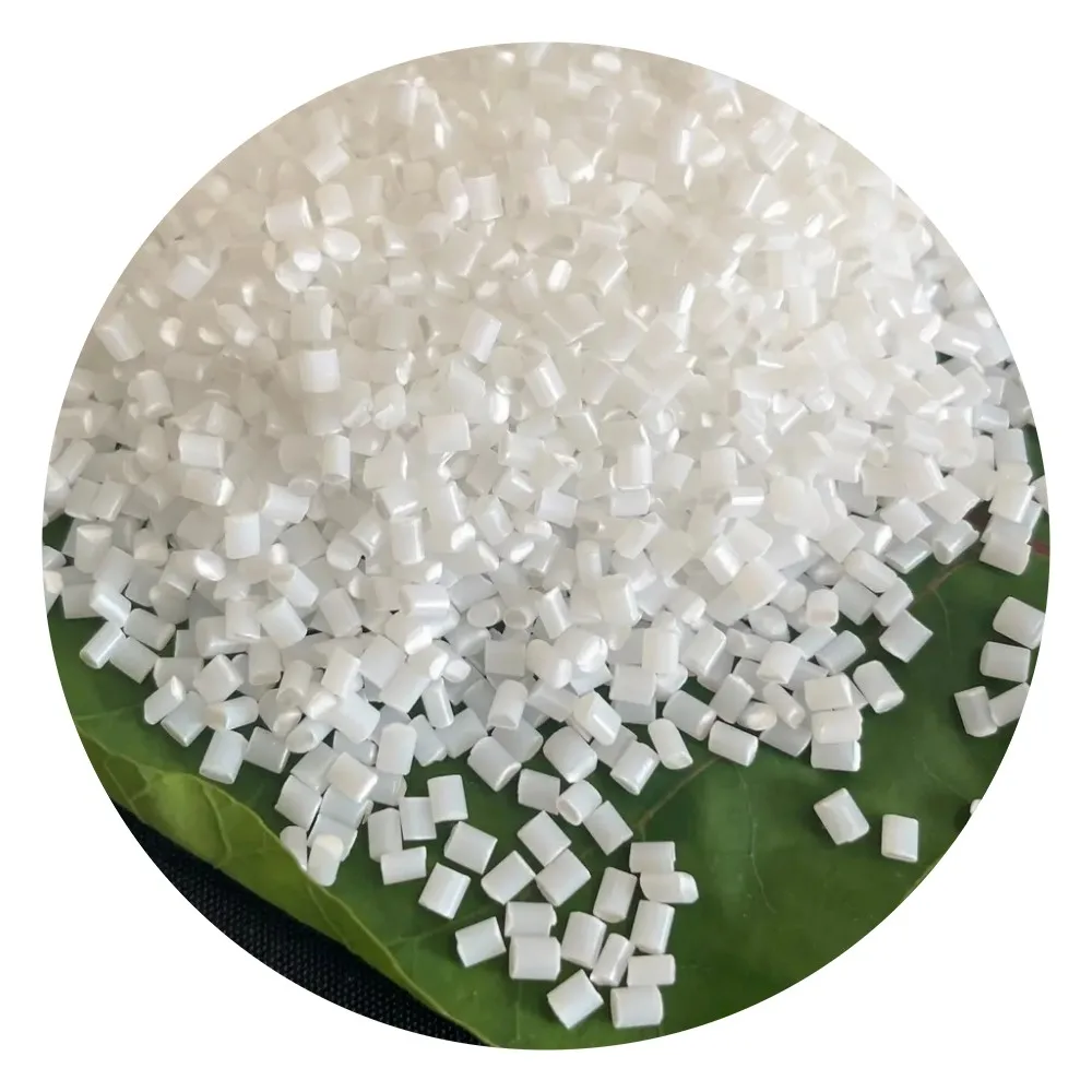 Pa6-gf30 pa6 gf25 material Pa Granules nylon pa6 gf30 form China Shandong