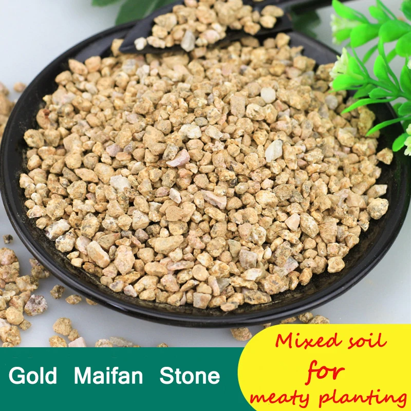 Китай производит фабричную цену для получения гранул Золотой мягкой пшеницы гуагуа посадки растений и очистки воды