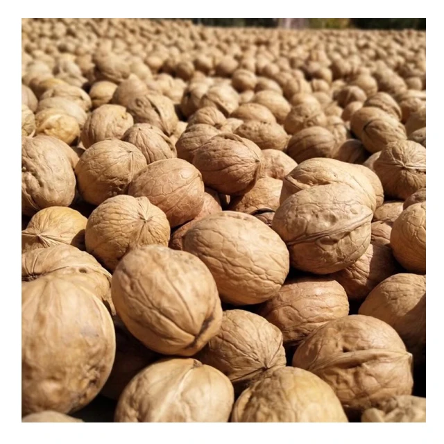 Wholesale prices paper walnut walnut organic bulk walnut in shell 32mm