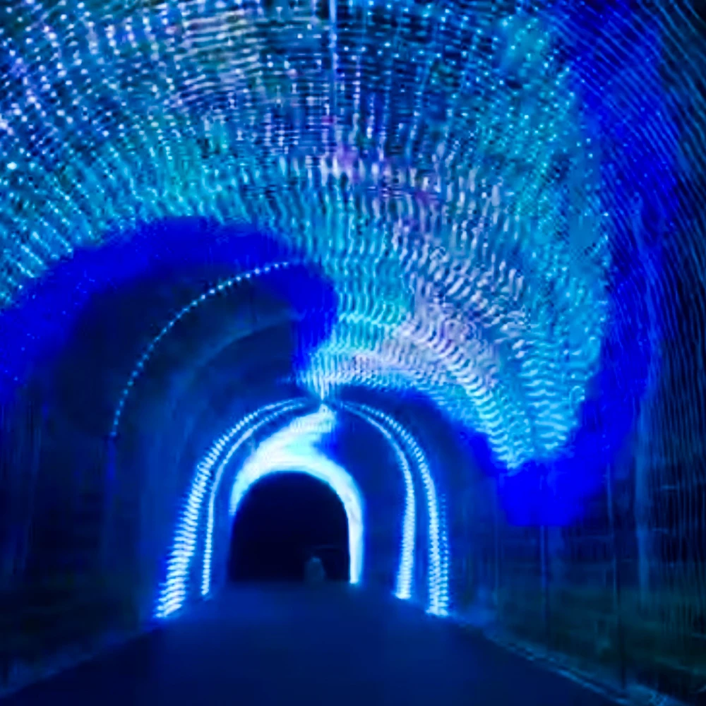 Wholesale Led Pixel Light Addressable Led Pixel String Light Rainfall Dmx Light Christmas 12V 80 IP65 Smart RGB 20000 -25~50