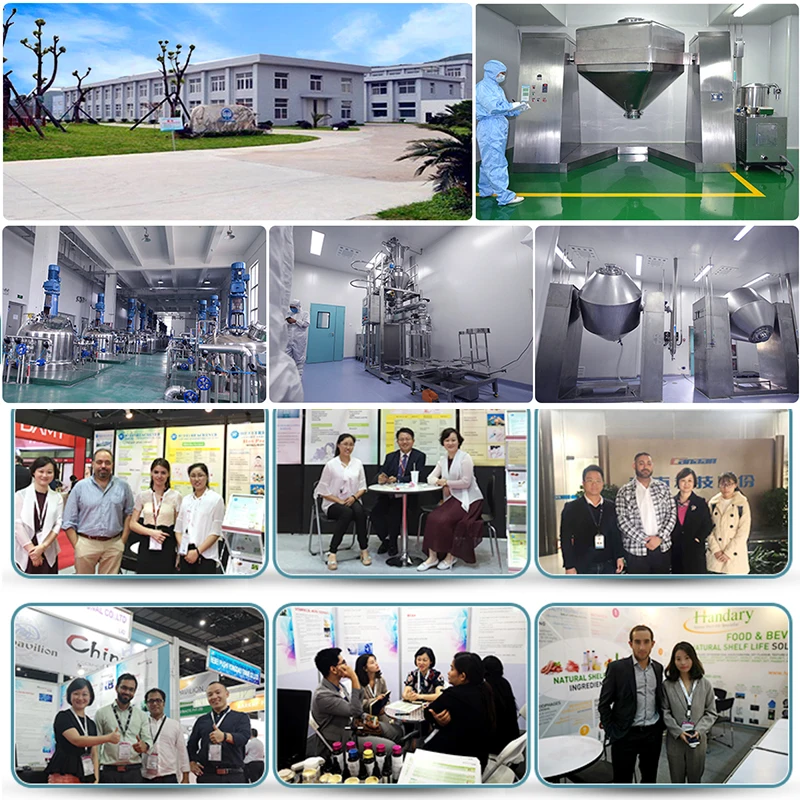 Chinese Factory L Powder Taurine Feed Grade With Best Quality