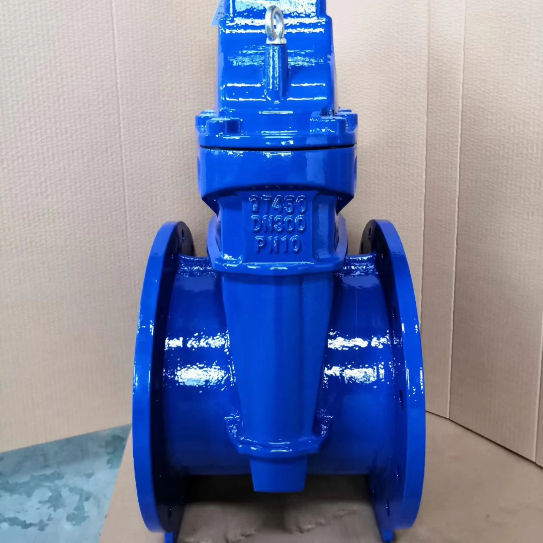 k cast iron Buried underground Square head Dark rod elastic seat soft sealing gate valve RVCX  BS5163