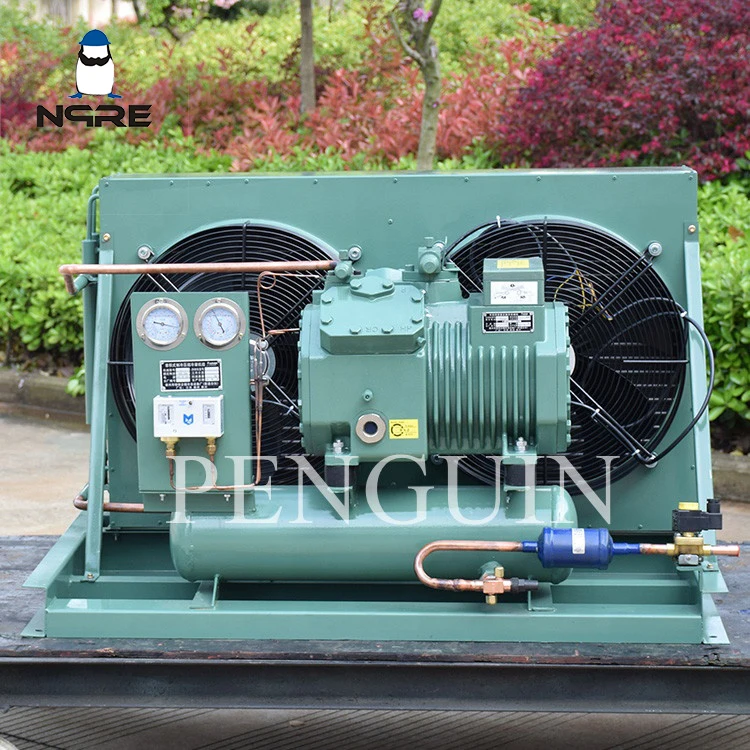 Охлаждающий конденсаторный блок 3hp 4hp 5hp 6hp 7.5hp 10hp 12hp 20hp с воздушным охлаждением морозильные конденсаторные блоки для холодной камеры