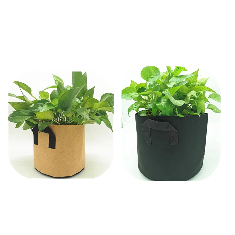 Factory Made Fruit Tree Plant Bag White And Black flexible Needle punched PET Felt Planter Grow Bag