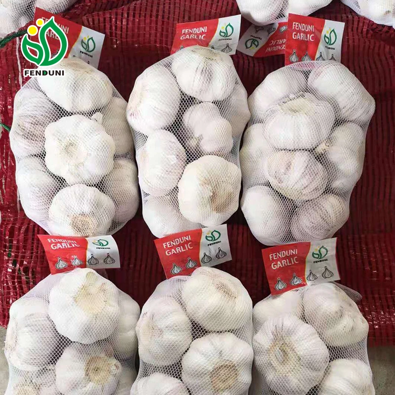 Health Product Organic Normal White/Pure White Garlic China Garlic Supplier