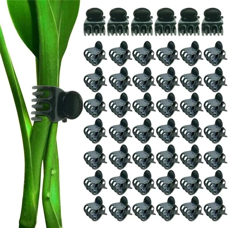 20-100Pcs Garden Plant Clips Butterfly Orchid Flower Support Clamp Fruit Vegetable Stem Vine Grafting Supplies Garden Tools