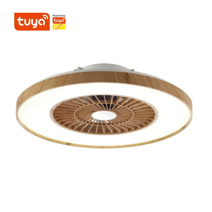 
Professional Manufacture Cheap Crystal Modern Tuya Smart Ceiling Ceiling Fan With Light 