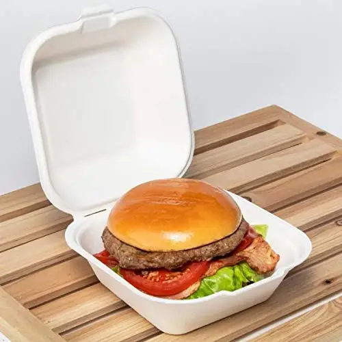 Wholesale Biodegradable Sugarcane Clamshell Food Containers Disposable Bagasse Clamshell for Party