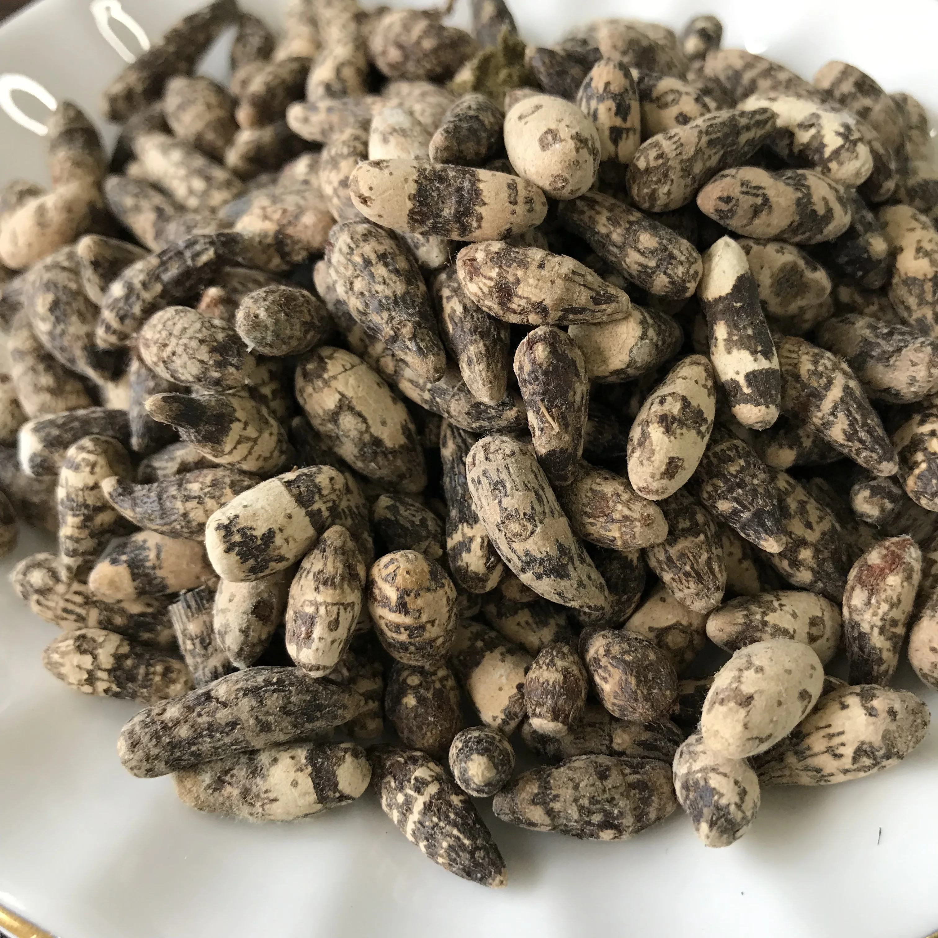 Chinese Herb Xiang Fu Nutgrass Galingale Rhizome  Cyperi Rhizoma Extract Raw Material