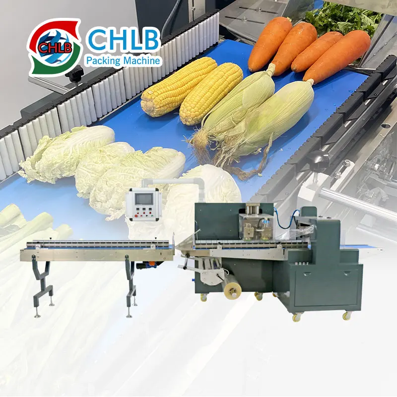 Multi-functional nitrogen Frozen food chicken packing machine for vegetables commercial bread fresh Carrot packaging machine