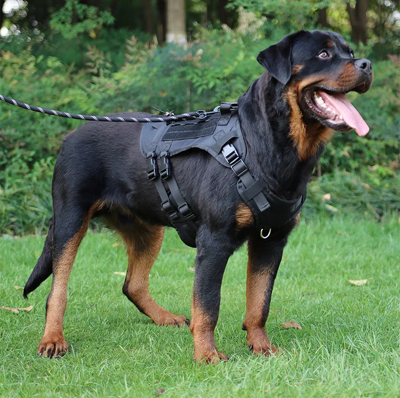 2024 Dog Training Harness No Pull Tactical Various Accessories Pet Molle Harness Vest Padded with Bag for Outdoor