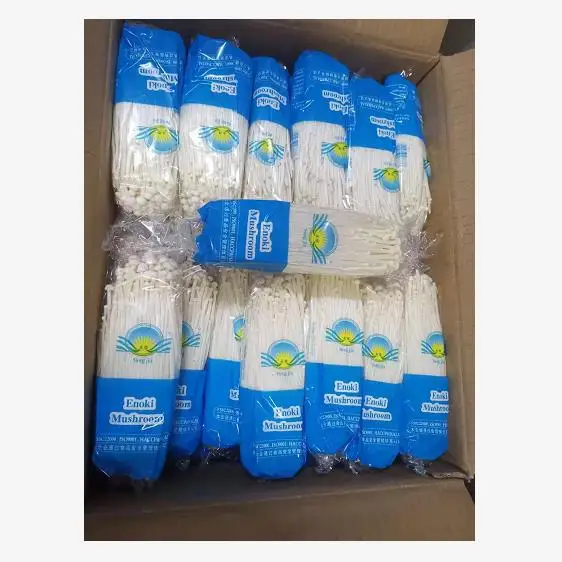Fresh White Enoki Mushroom from China with wholesale price