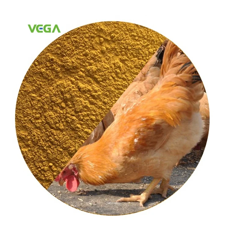 
VEGA Express MSG Protein/Single Cell Protein Powder Made in China &nbsp;